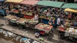 Symbolbild Nahrungsmittel übertragene Erkrankungen