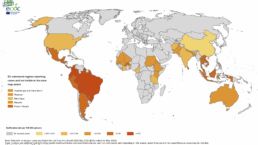 Verbreitungskarte Dengue